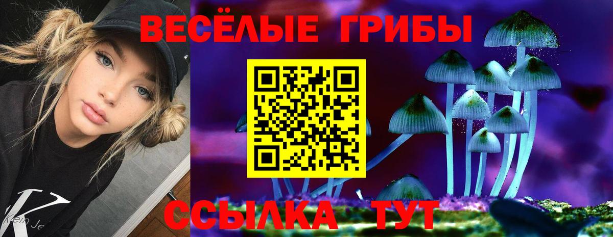 Галлюциногенные грибы Psilocybine cubensis Богородицк
