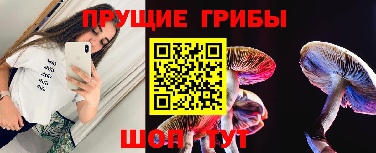 Псилоцибиновые грибы Psilocybe  Вход с VPN  Богородицк 