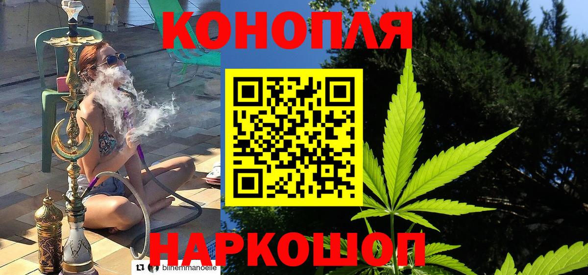 Каннабис MAZAR Богородицк